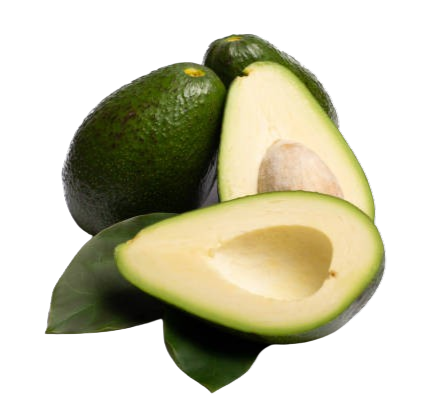Fuerte Avocados
